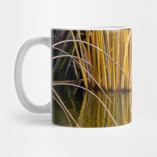 Ruddy Duck in Spring. Mug